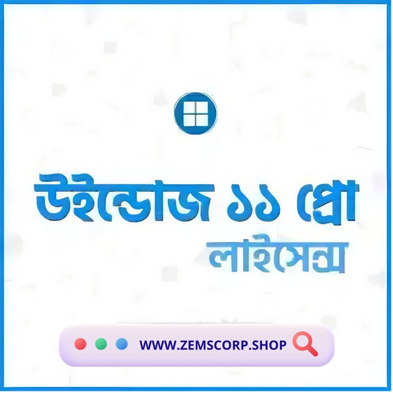 WINDOWS 11 PRO ZEMSCORP TECHNOLOGY